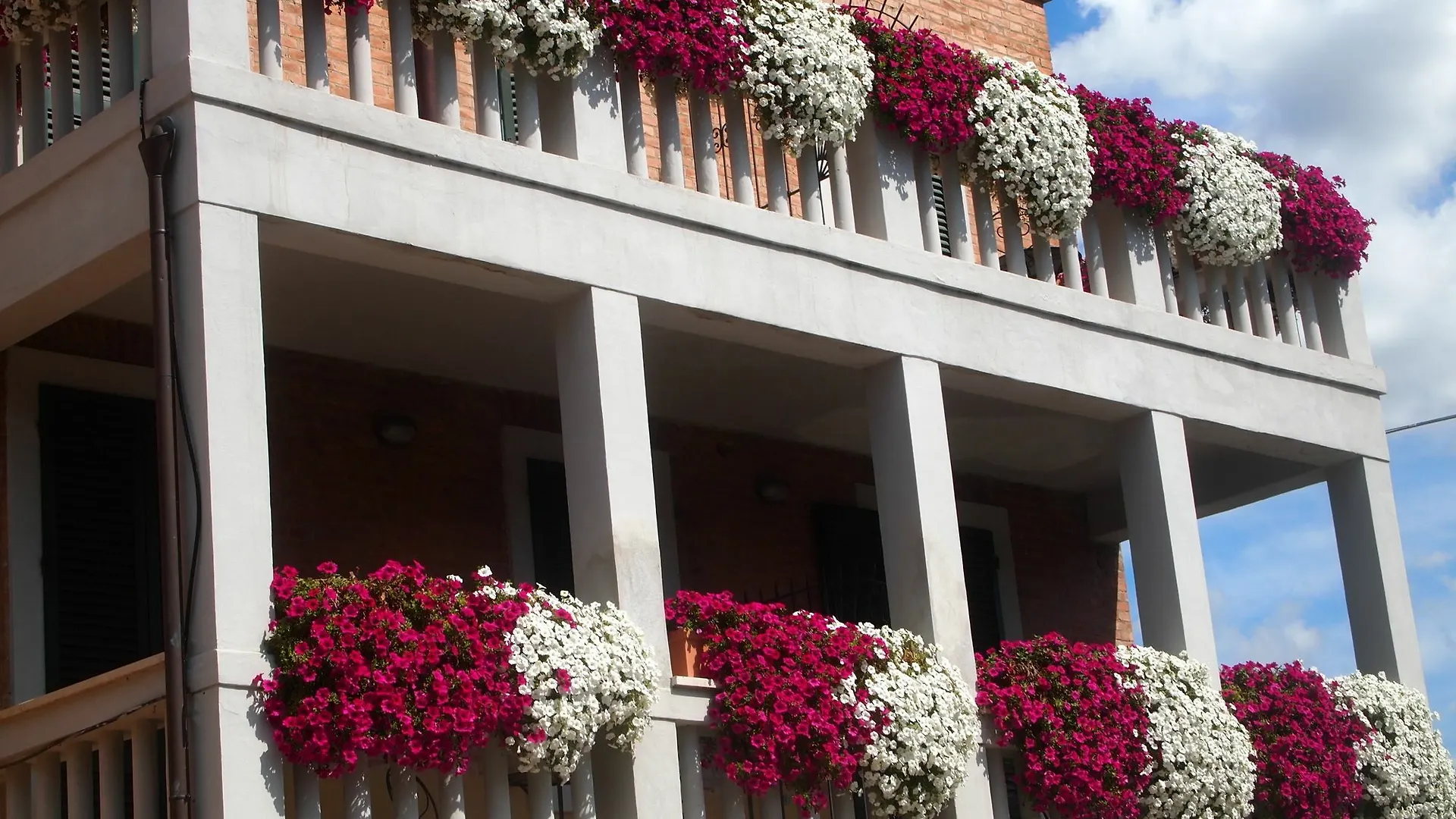 Soggiorno Lo Stellino Siena Bed & Breakfast